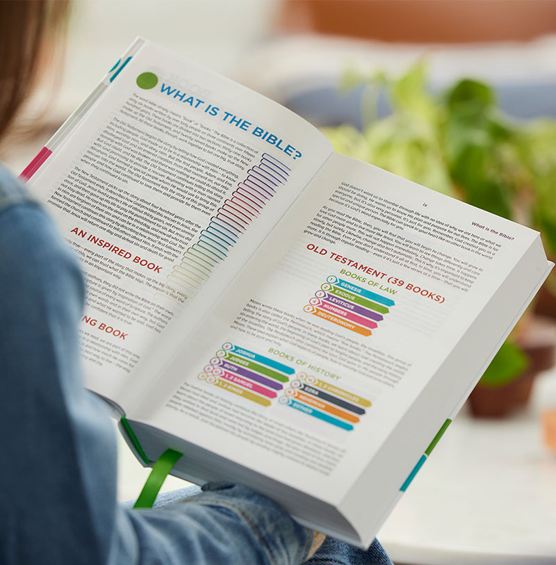 color coded bible the color code bible for kids, nkjv... New Color Code Bible for Kids Released – brian dembowczyk
